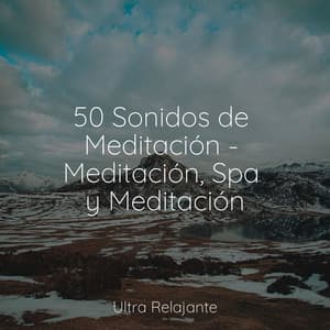 50 Sonidos de Meditación - Meditación, Spa y Meditación - Dormir e Meditar