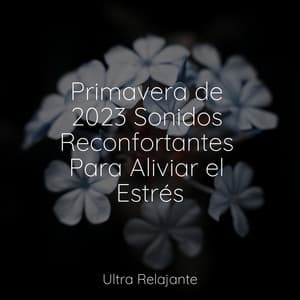 Primavera de 2023 Sonidos Reconfortantes Para Aliviar el Estrés - Musica para Dormir Dream House