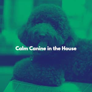 Calm Canine in the House - Chic Dinner Table Jazz