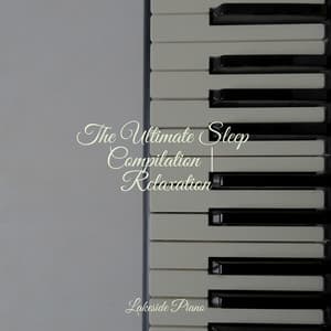 The Ultimate Sleep Compilation | Relaxation - SD