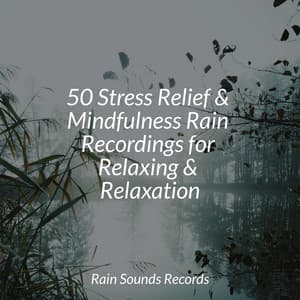 50 Stress Relief & Mindfulness Rain Recordings for Relaxing & Relaxation - Instrumental