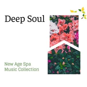 Deep Soul - New Age Spa Music Collection - Gold Spa Melodies