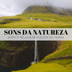 Sons Da Natureza: Espírito Rejuvenescedor Da Terra - Música Relax para Bares