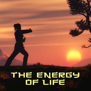 The Energy of Life - Relaxing Zen Music Ensemble
