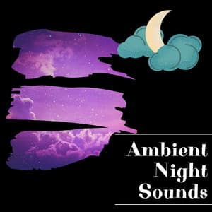 Ambient Night Sounds for Relaxation and Meditation - Night Sounds Channel