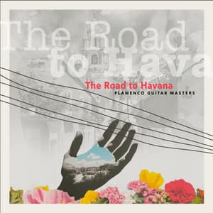 The Road to Havana - Flamenco Guitar Masters