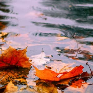 1 Rainy Night: Tranquility - 24H Rain Sounds