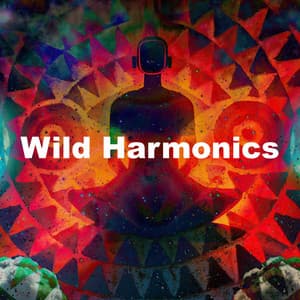 Wild Harmonics - Rainforest Spa Relaxing