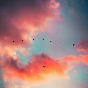 Relaxing Brown Noise - Fans & White Noise