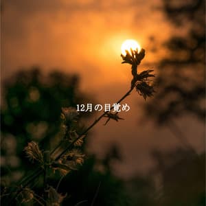 12月の目覚め - Essential Dinner Party Background Music