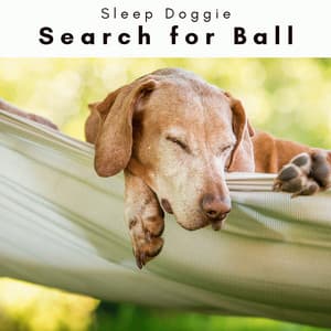 2 0 2 3 Search for Ball - Sleep Doggie
