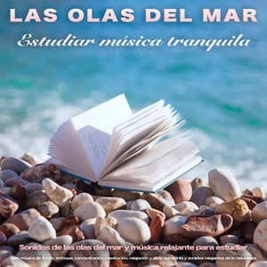 Las olas del mar: Estudiar música tranquila - Sonidos de las olas del mar y música relajante para estudiar, leer, música de fondo, enfoque, concentración, meditación, relajación y alivio del estrés y sonidos relajantes de la naturaleza - Musica para Concentrarse