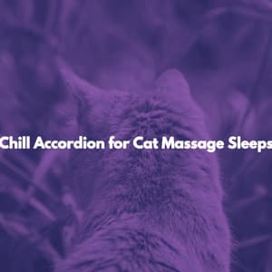 Chill Accordion for Cat Massage Sleeps - Lavoro da Casa Play List