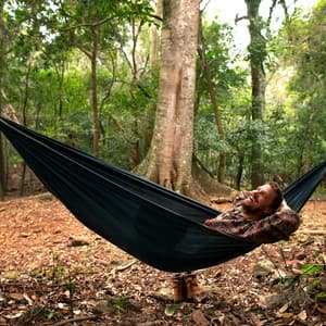 Relax Jazz for Special Moments: Jazz Vibe, Elegant Restaurant Mood - Sophie Mellow