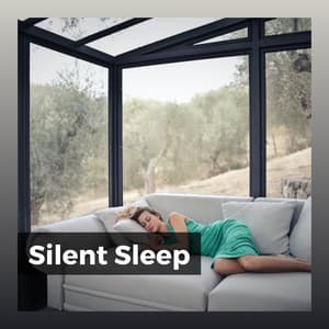 Silent Sleep - ASMR Sleep Sounds