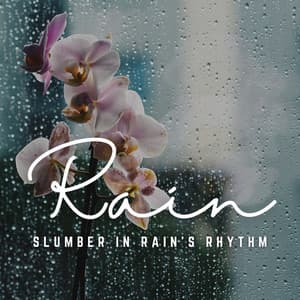 Rhythms of Rain: Tranquil Nights in Nature - Tranquil Serene