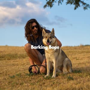 Barking Bops - Calming Jazz For Dogs