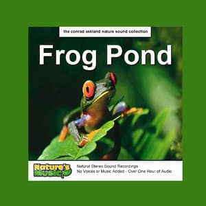 Frog Pond - Nature Recordings and Sounds of Frogs - Nature's Music