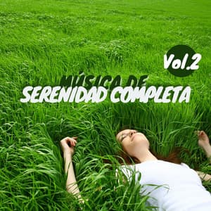 Música de Serenidad Completa, Vol.2: Música Muy Relajante para Encontrar la Serenidad en Días Estresantes - Spa Lounge