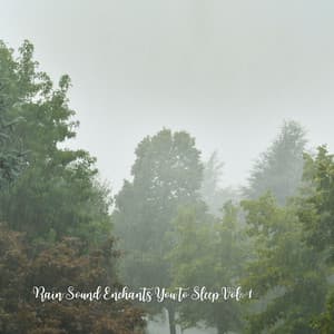 Rain Sound Enchants You to Sleep Vol. 1 - The Noise Nannies
