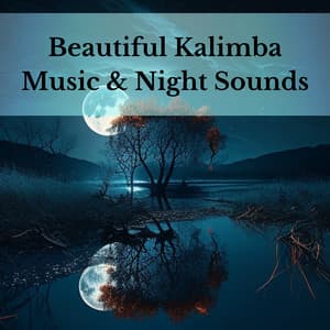 Beautiful Kalimba Music & Night Sounds - Holistic Therapist