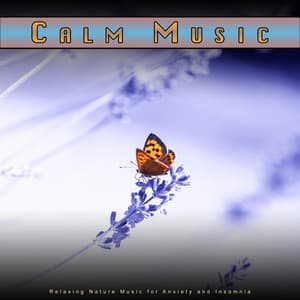 Calm Music: Relaxing Nature Music for Anxiety and Insomnia - Music For Anxiety
