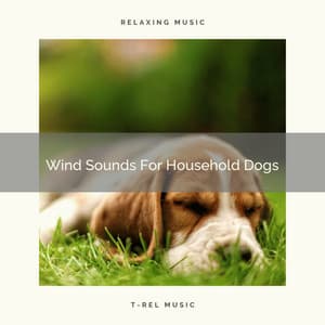 Wind Sounds For Household Dogs - Pets Total Relax