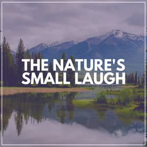 The Nature's Small Laugh - Sounds of Nature Noise