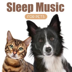 The Slow Fade Tranquil Pets - Giulia Tylor