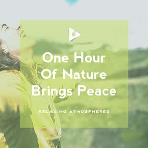 1 Hour Of Nature Brings Peace - Relaxing ASMR