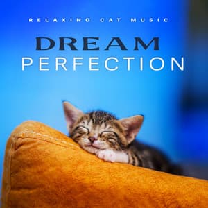 Dream Perfection - Relaxing Cat Music