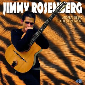 Django's Tiger - Jon Larsen