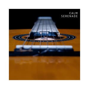 Calm Serenade: Chill Instrumental Guitar - Guitar Music Club