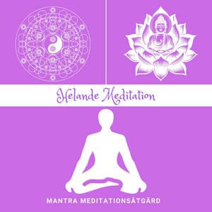 Helande Meditation: Inre Regenerering - Mantra Meditationsåtgärd