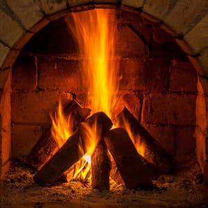 Searing Serenity: Meditative Echoes from Cozy Fireplaces - Buddha Music Sanctuary