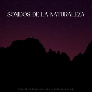 Sonidos De La Naturaleza: Sonidos De Corrientes De Río Nocturnas Vol.2 - Sonidos de río