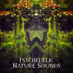 Psychedelic Nature Sounds - Mothers Nature Music Academy