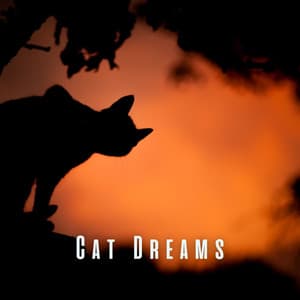 Cat Dreams: Relaxing Melodies for Tranquil Moments - Total Relax