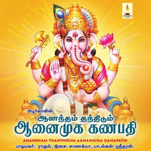 Aanandham Thanthidum Aanaimugan Ganapathi - Rahul