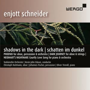 Schneider: Shadows in the Dark - Enjott Schneider