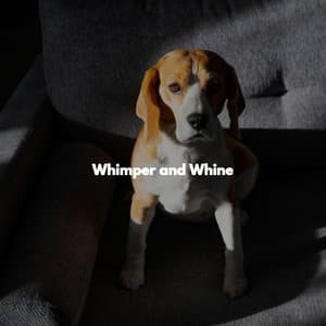 Whimper and Whine - Música Suave para Cafés