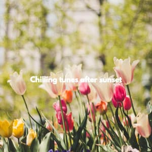 Chilling tunes after sunset - Good Night Jazz
