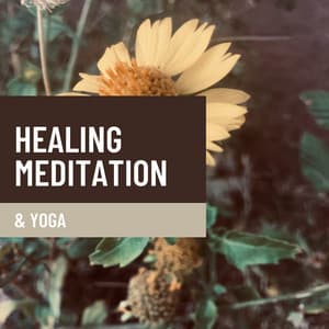 Healing Meditation & Yoga - Nature Queen
