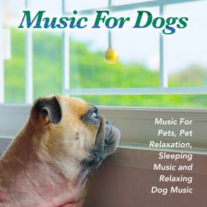 Music For Dogs, Music For Pets, Pet Relaxation, Sleeping Music and Relaxing Dog Music - Dog Music