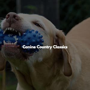 Canine Country Classics - Jazz Office