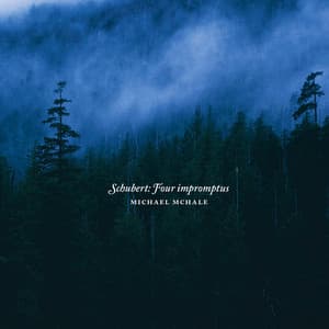 Schubert: Four Impromptus - Michael McHale