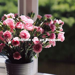 Deléitate con un Bouquet - Jazz Ambiente