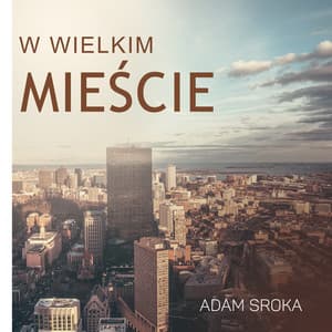 W Wielkim Mieście - Adam Sroka