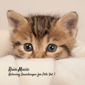 Rain Music: Relieving Soundscapes for Pets Vol. 1 - Soothing Cat Music