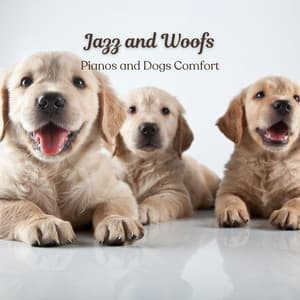 Jazz and Woofs: Pianos and Dogs Comfort - Cocktail Lounge Music